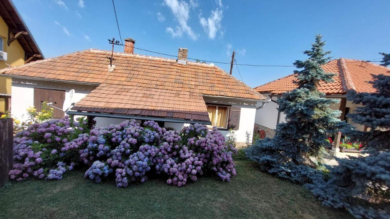 Apartman Nebojsa Rudnik Exterior foto