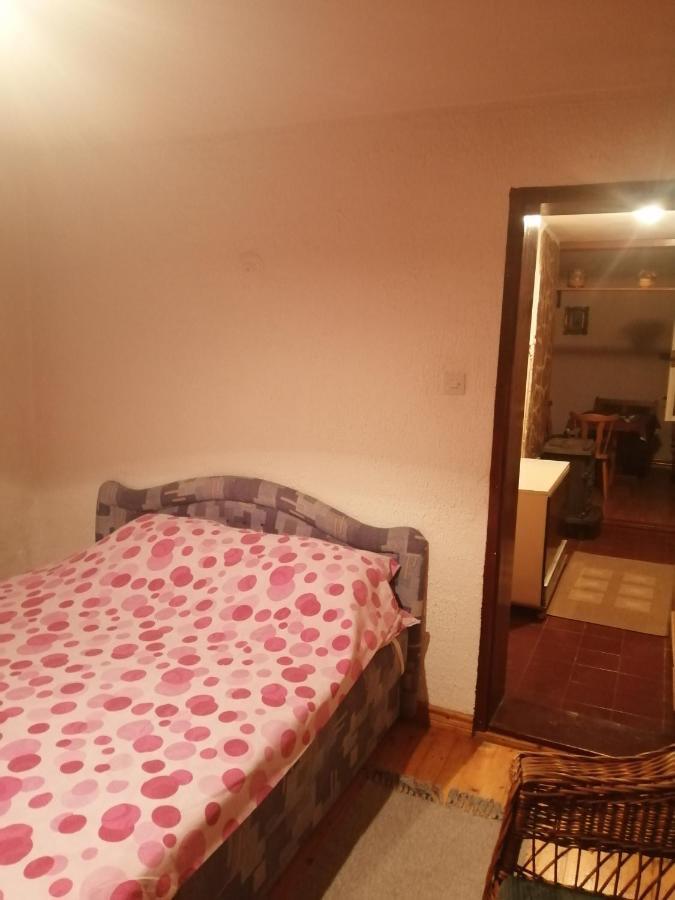 Apartman Nebojsa Rudnik Exterior foto